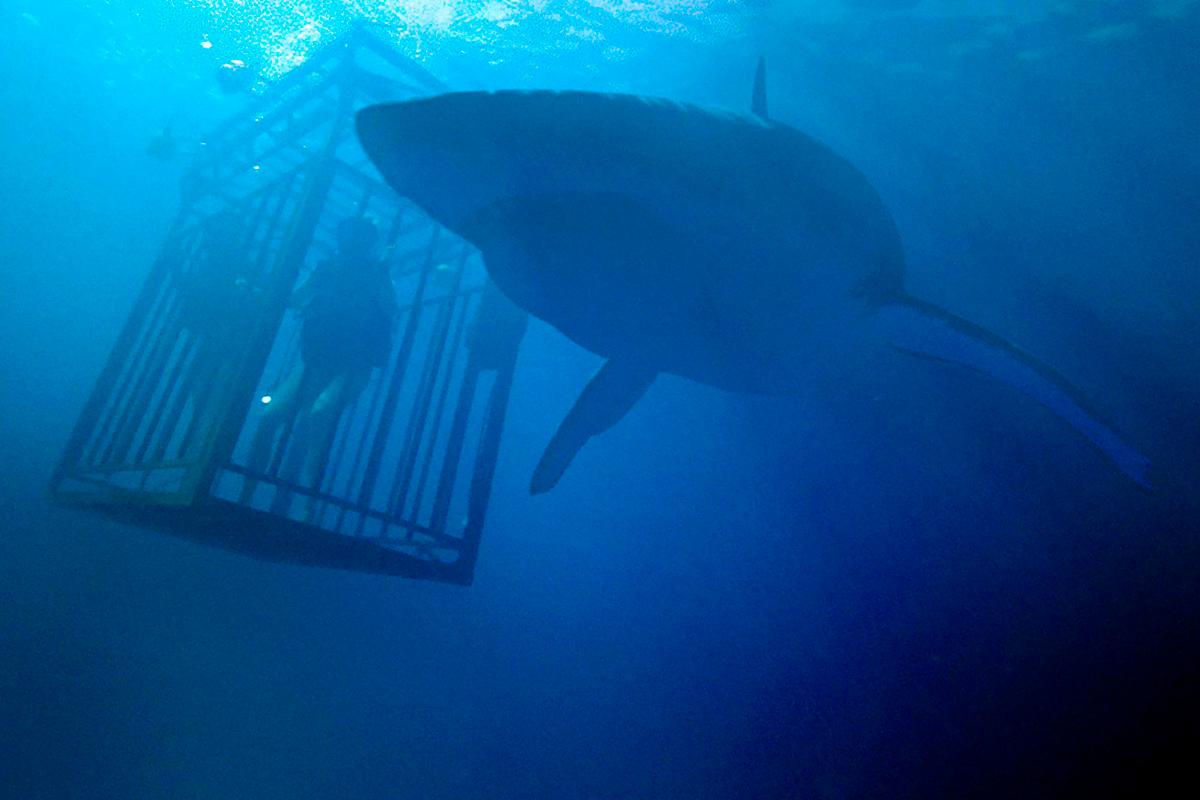 47 Meters Down – ketrec, sötét és oxigénhiány