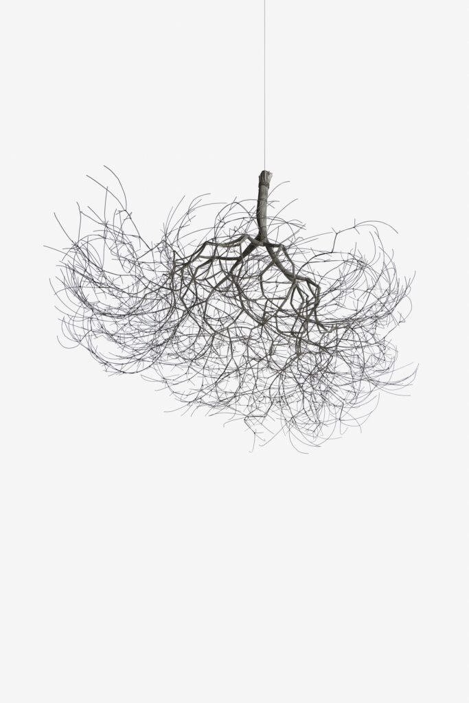 Ruth Asawa. Cím nélkül, 1962. Diana Nelson és John Atwater gyűjteménye; © 2026 Ruth Asawa Lanier, Inc., David Zwirner jóvoltából