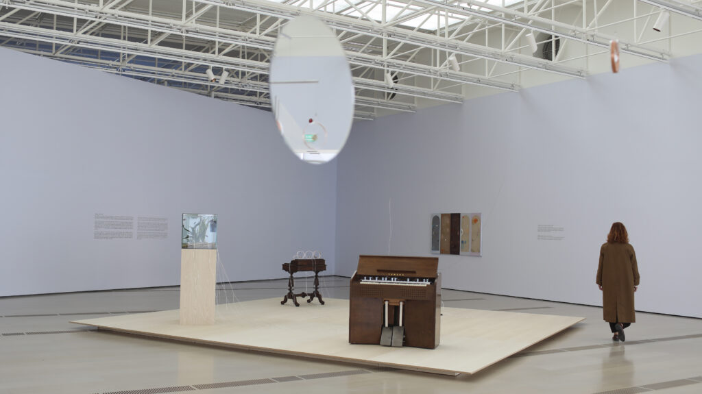 Yuko Mohri. Flutter, 2018 - 2025. Fényképezés: Belén de Benito