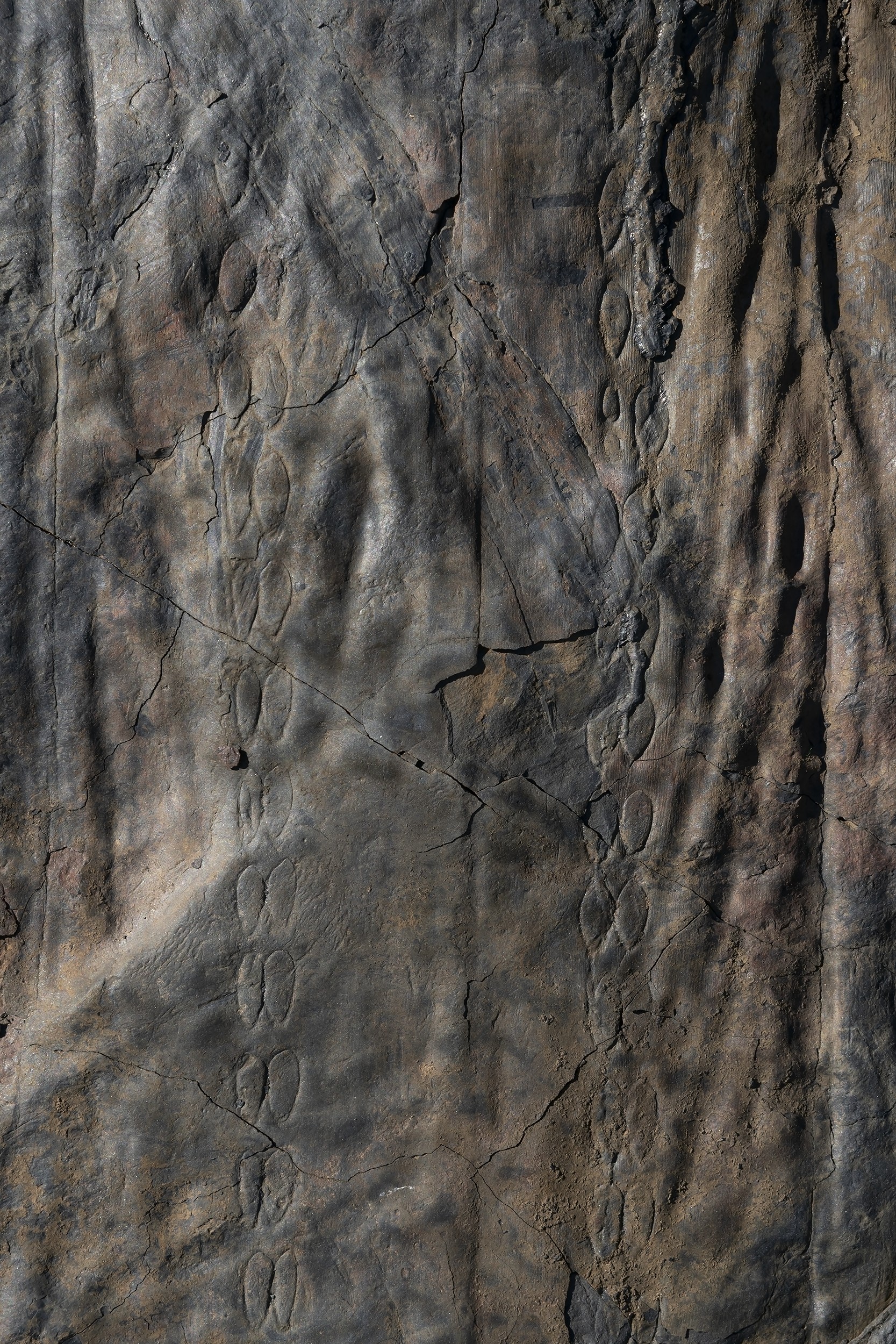 Jorge Yeregui. Soils of La Inglesa I, 2023. The Soils of Peal sorozat