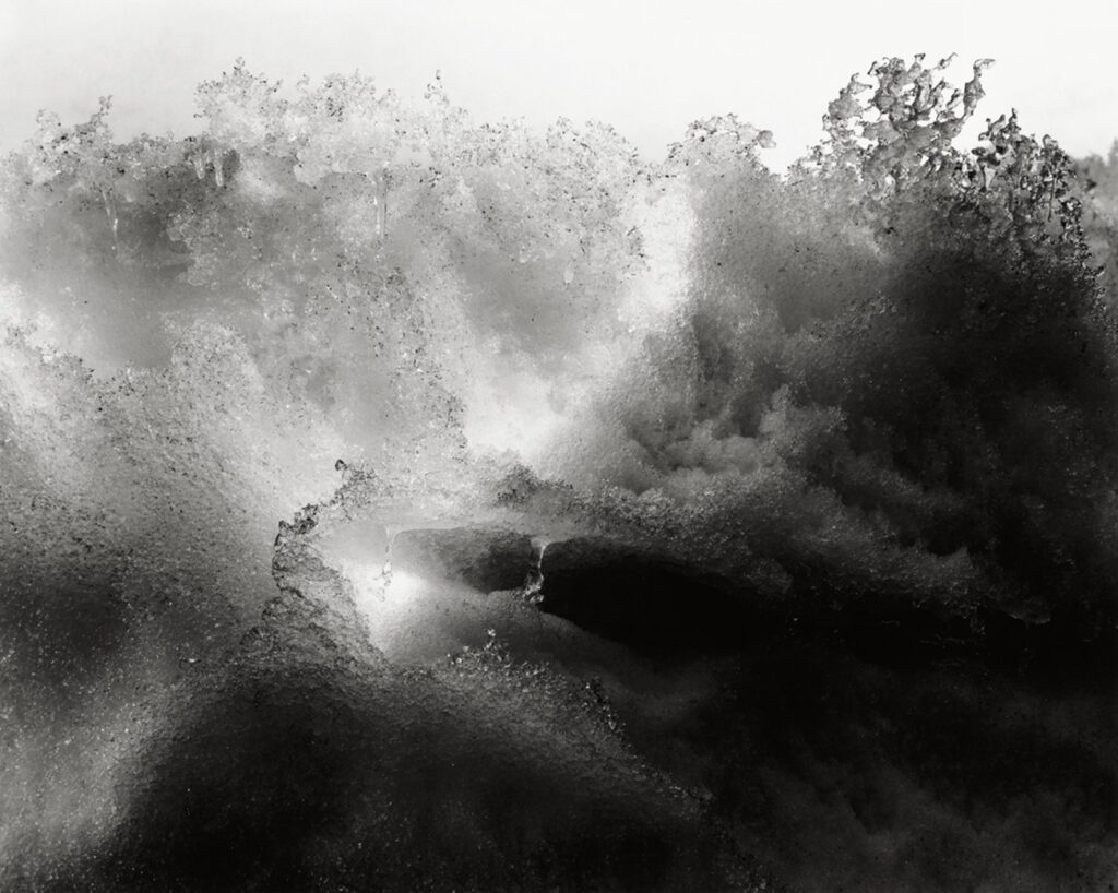 Kis fehér. Minor White 72 N. Union Street, Rochester, a 16. sorozatból / Steely the Barb of Infinity, 1960. The Minor White Archive, Princeton University Art Museum