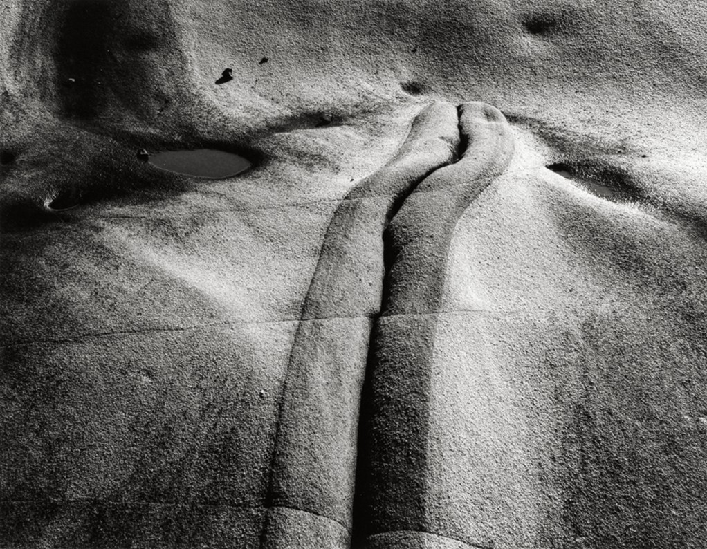 Kis fehér. Point Lobos State Park, Kalifornia, a Fourth Sequence, 1950-ből. A Minor White Archívum, Princeton Egyetem Művészeti Múzeuma, Kisfehér érkezése © Princetoni Egyetem megbízottjai
