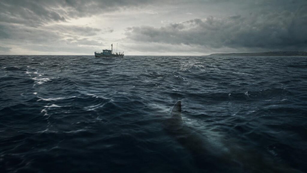 Jaws